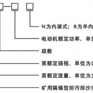 37kW礦用隔爆型排污排沙潛水電泵