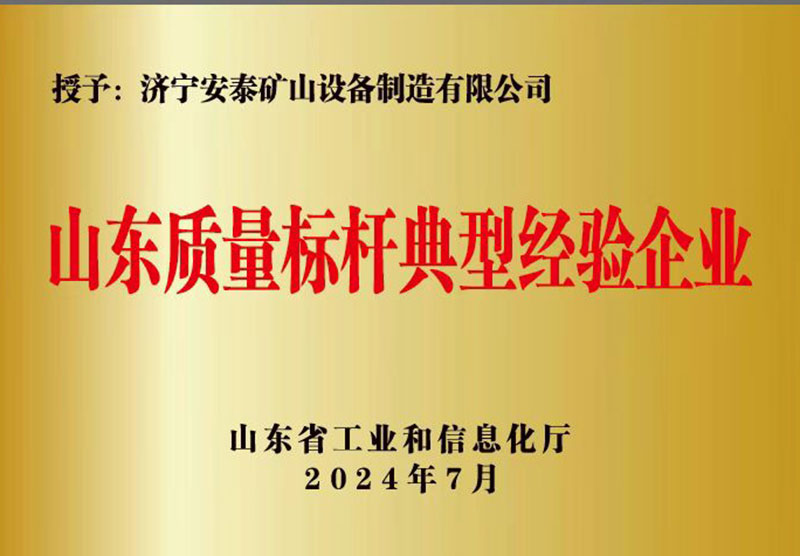 1山東質(zhì)量標桿典型經(jīng)驗企業(yè)